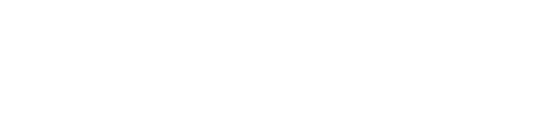 ASSEC-IT