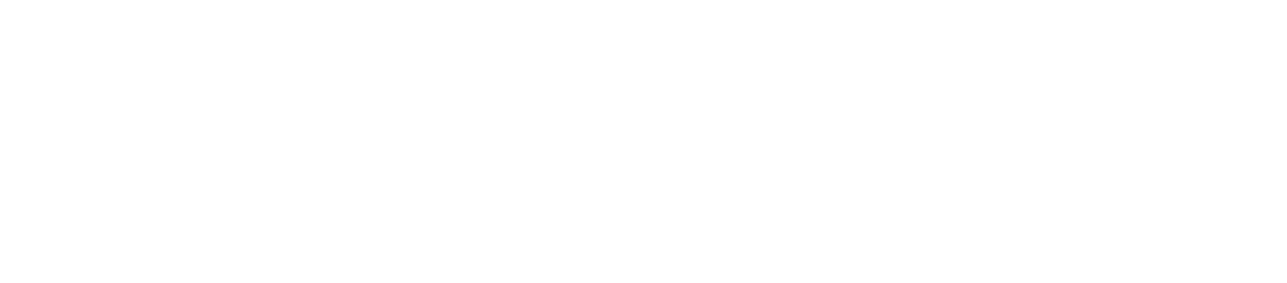 ASSEC-IT